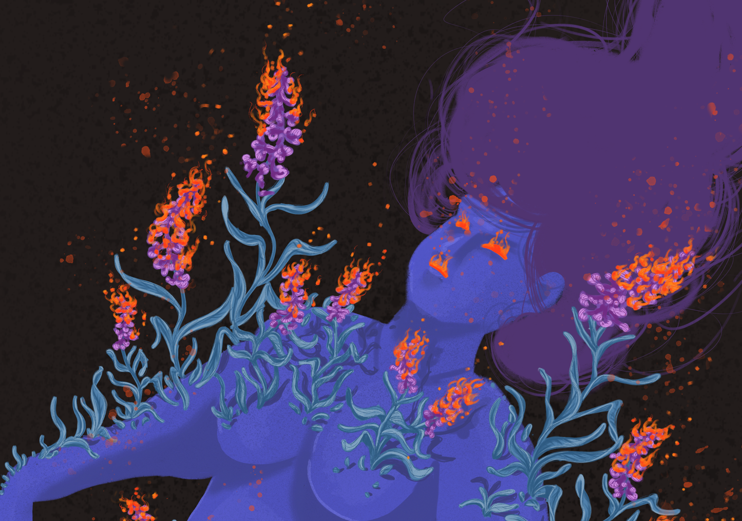 Fireweed 01