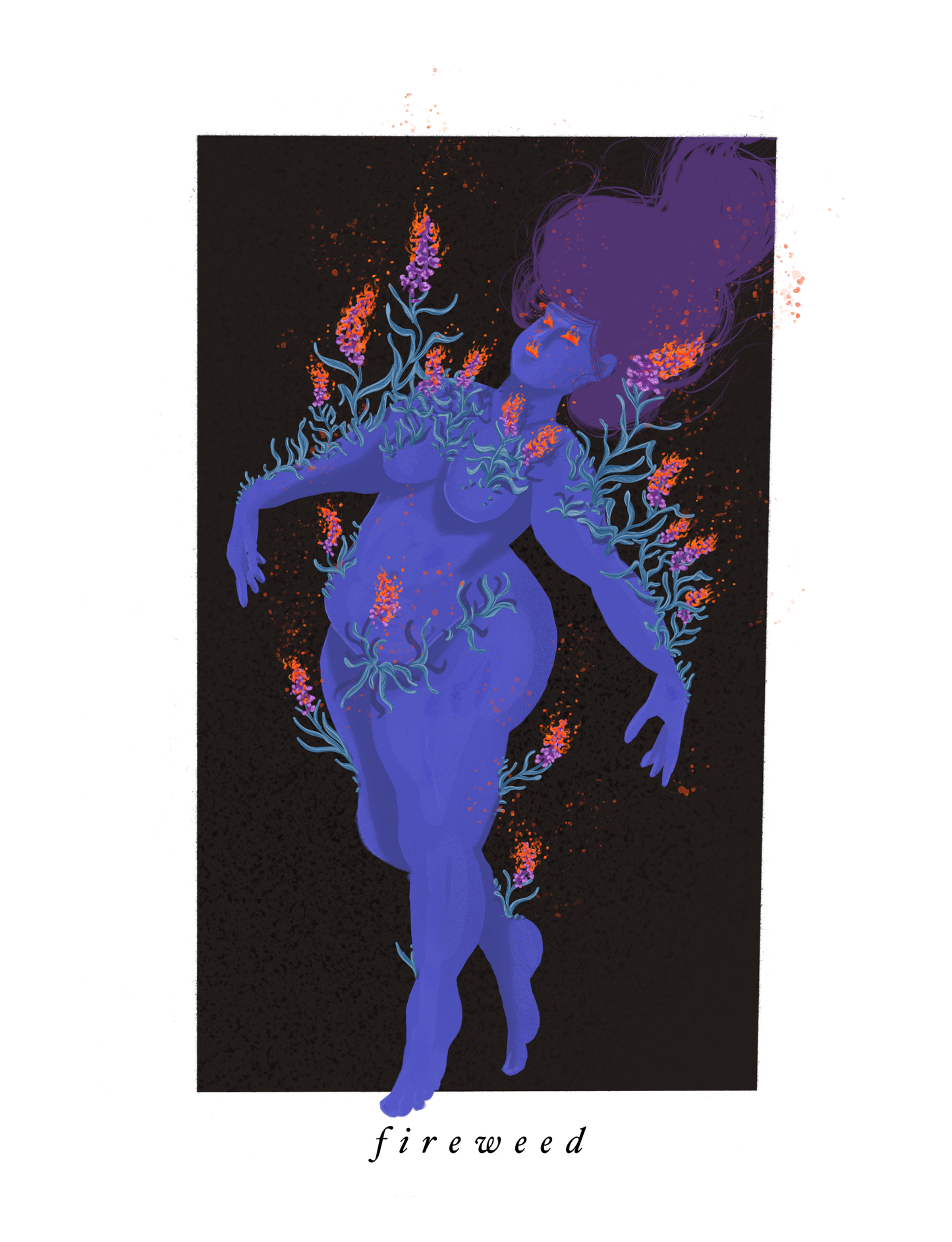 Fireweed 01