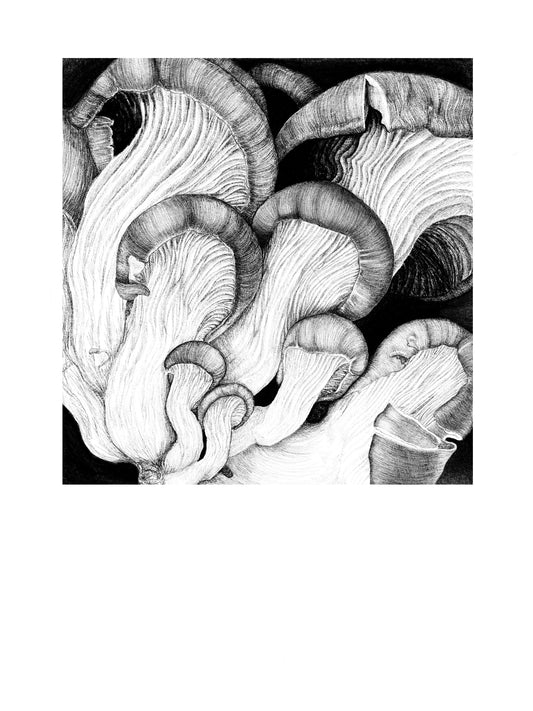 🍄 Mushroom friend 01 🍄